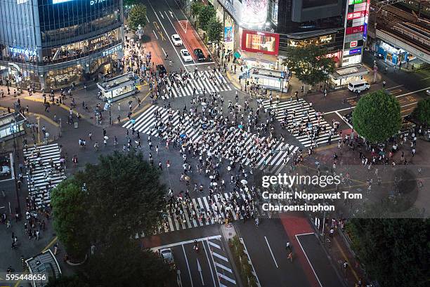 shibuya crossing at night - shibuya crossing stock-fotos und bilder