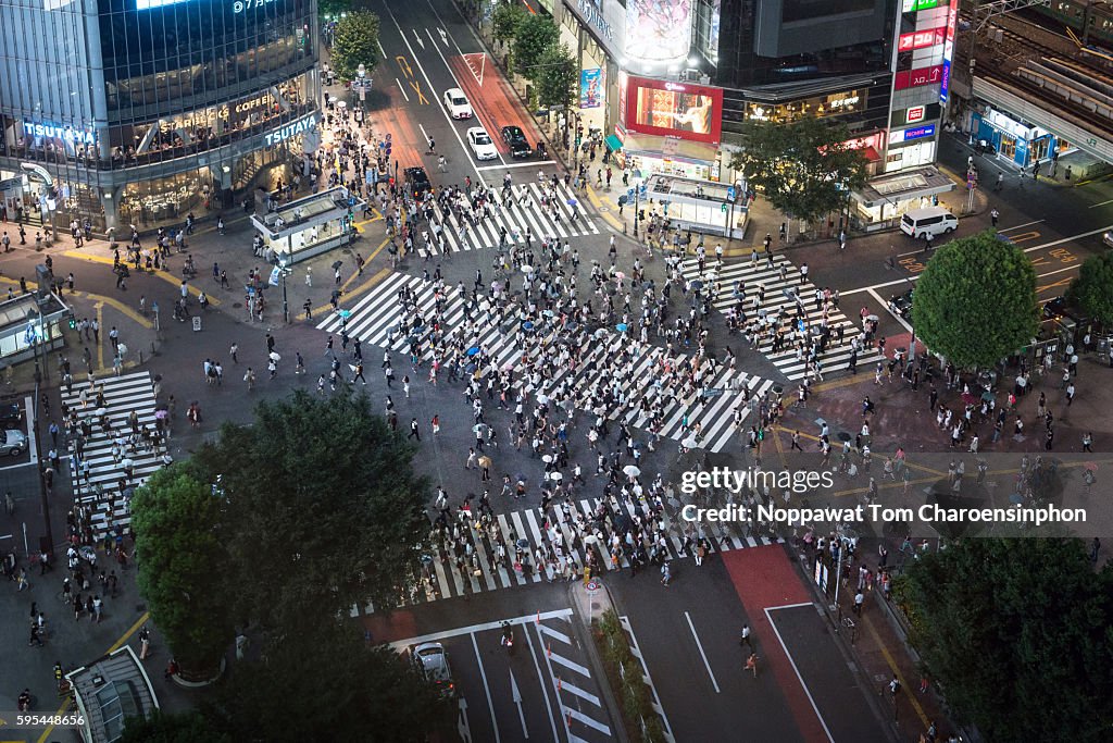 Shibuya Crossing at night