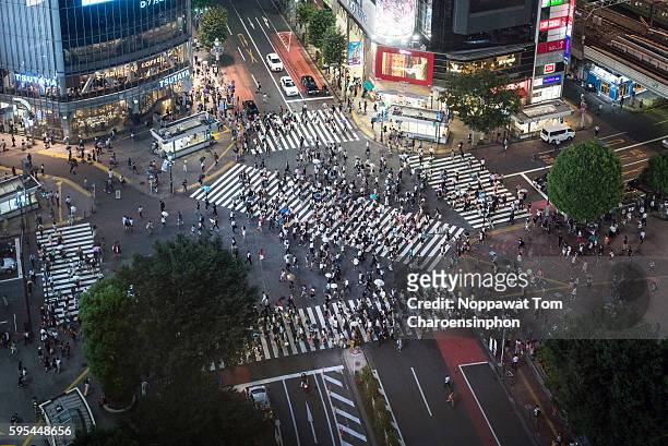 shibuya crossing at night - shibuya crossing stock pictures, royalty-free photos & images