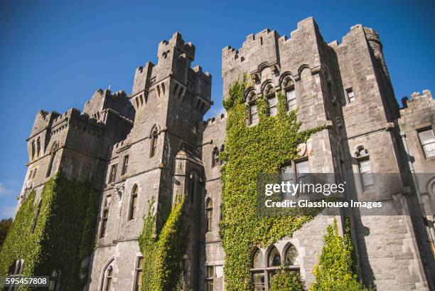 ashford castle with ivy growing on wall, low angle view, cong, ireland - ashford castle stockfoto's en -beelden