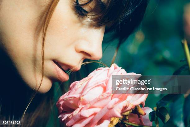 Smelling Roses Inbloom 16,040 Smelling Roses Stock Photos, High-Res Pictures, and Images ...