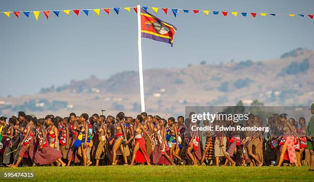 parade of maidens - ludzidzini royal village stock pictures, royalty-free photos & images