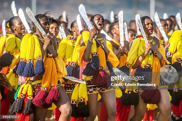 sabres aloft - reed dance stock pictures, royalty-free photos & images