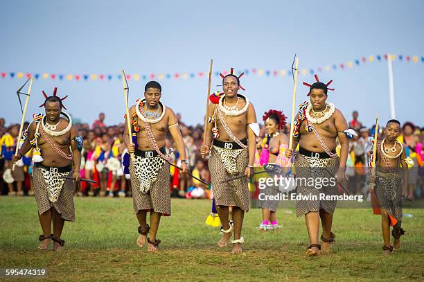 3,067 Reed Dance Photos Stock Photos, High-Res Pictures, and Images ...