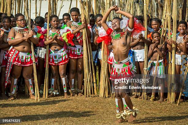 dancing display - reed dance stock pictures, royalty-free photos & images