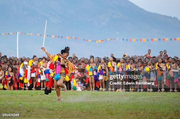 proud performance - ludzidzini royal village stock pictures, royalty-free photos & images