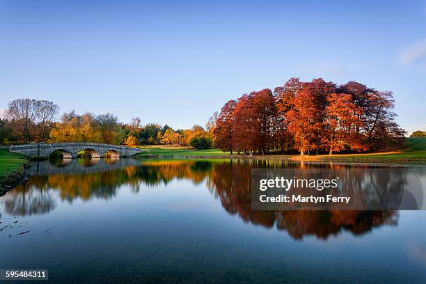 autumn reflection - blenheim palace stock-fotos und bilder