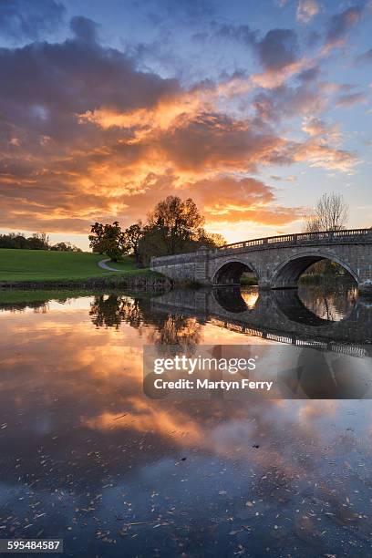 blenheim bridge reflection - blenheim palace stock pictures, royalty-free photos & images