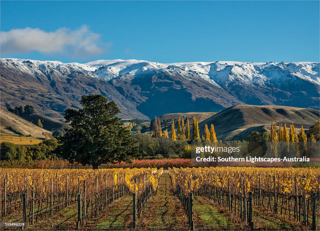 Autumn at Cromwell