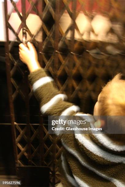 young boy reaching for freight elevator handle - inside elevator stock pictures, royalty-free photos & images