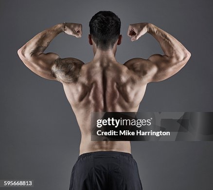 Portrait of young muscular male bodybuilder. Portrait of young muscular male bodybuilder.
