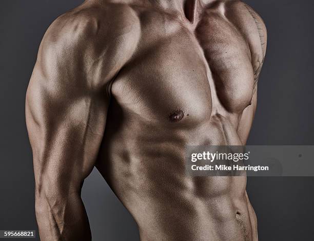 portrait of athletic male bodybuilders torso. - male chest stock pictures, royalty-free photos & images
