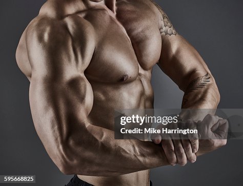Portrait of muscular male bodybuilder. Portrait of muscular male bodybuilder.