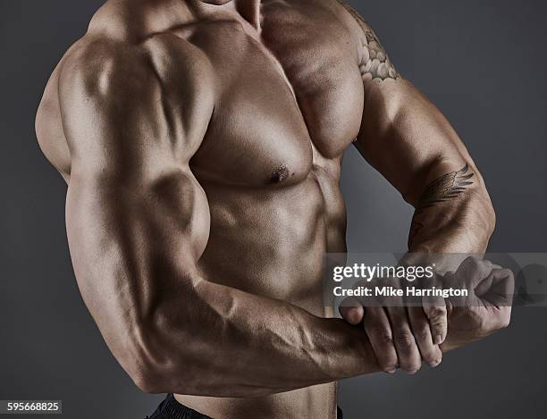 portrait of muscular male bodybuilder. - 肌肉發達 個照片及圖片檔