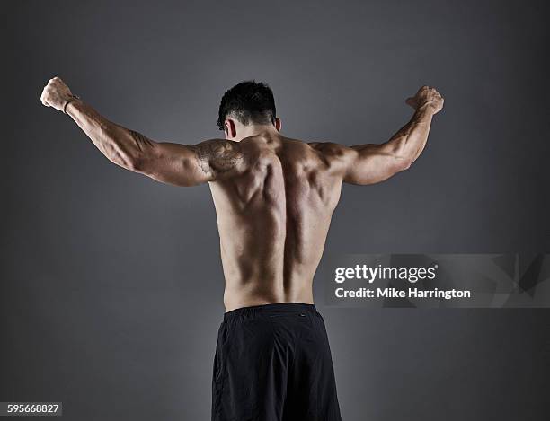 portrait of young, healthy, muscular male. - human back stock pictures, royalty-free photos & images