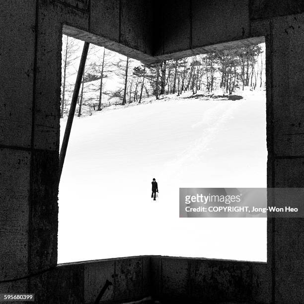a man walking on the snowfield - pyeongchang stock pictures, royalty-free photos & images