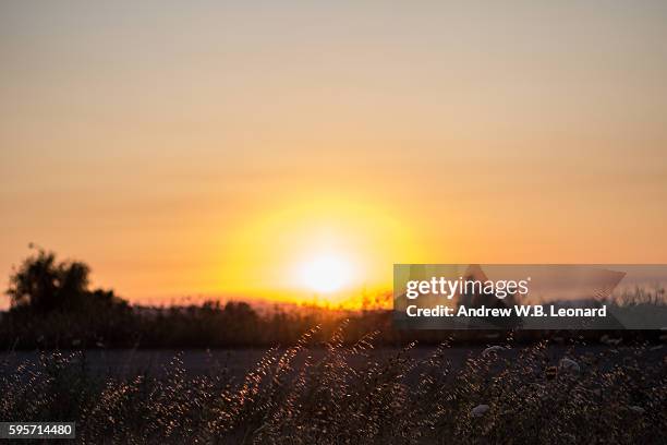 sunset in santa rosa over the brush - santa rosa california stock pictures, royalty-free photos & images