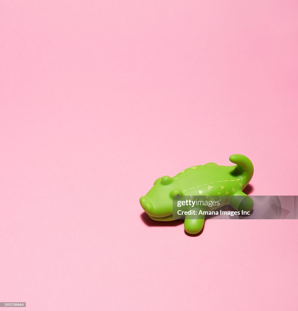 Plastic Toy Crocodile