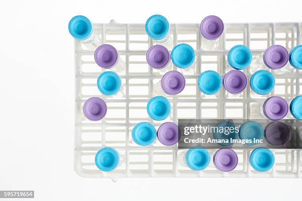 test tubes in rack - prateleira de tubos de ensaio imagens e fotografias de stock