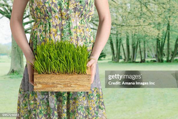 young woman holding box of grass - woman torso stock pictures, royalty-free photos & images