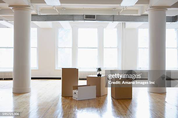 cardboard boxes in empty room - bonsai tree office stock pictures, royalty-free photos & images