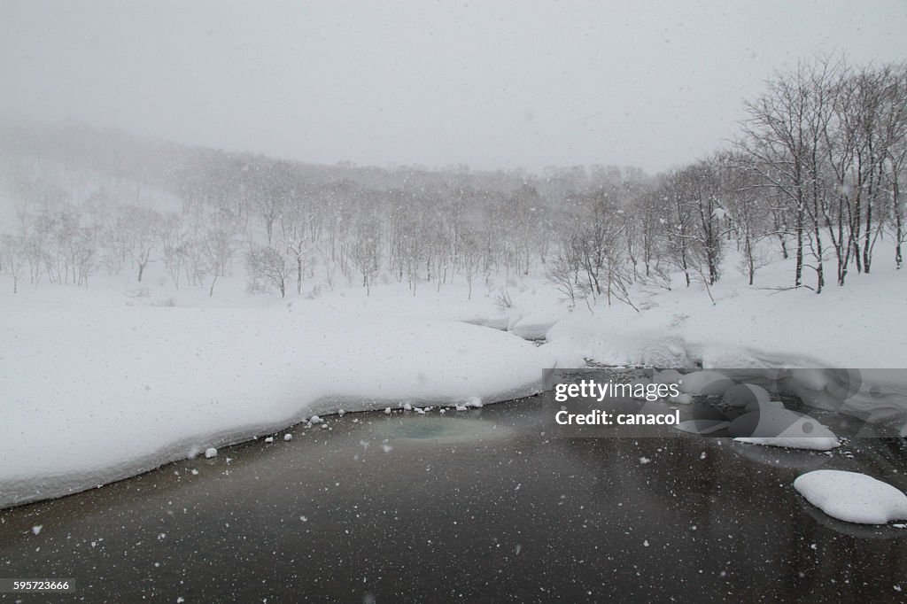 NISEKO