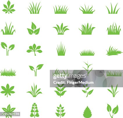 Conjunto de iconos de Grass Conjunto de iconos de Grass