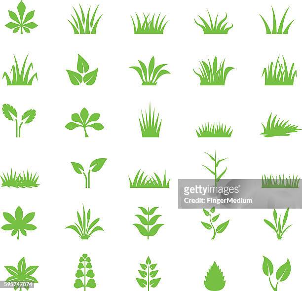 grass icon set - uncultivated stock illustrations