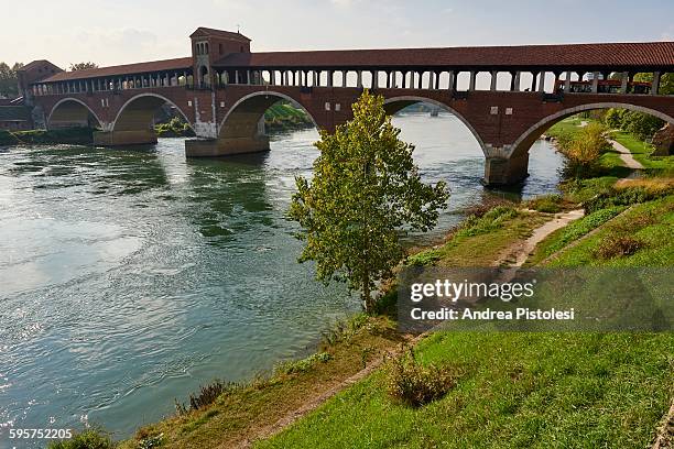 pavia, lombardy, italy - tocino stock-fotos und bilder