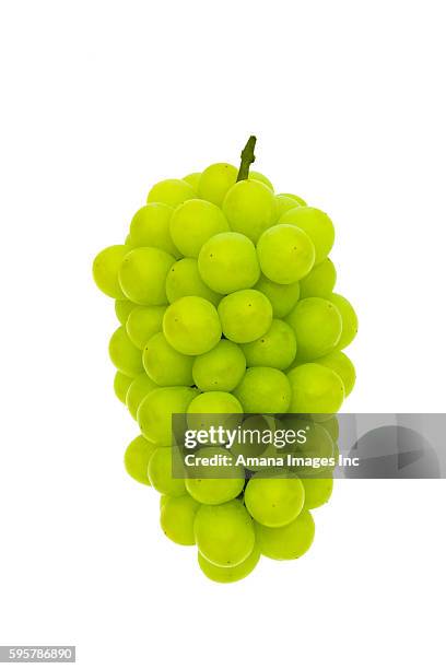 muscat grapes - grande mascate imagens e fotografias de stock