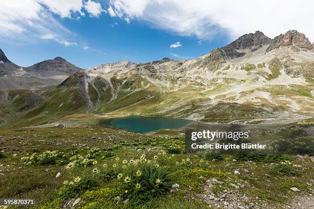 lej suvretta - lake alpsee stock pictures, royalty-free photos & images