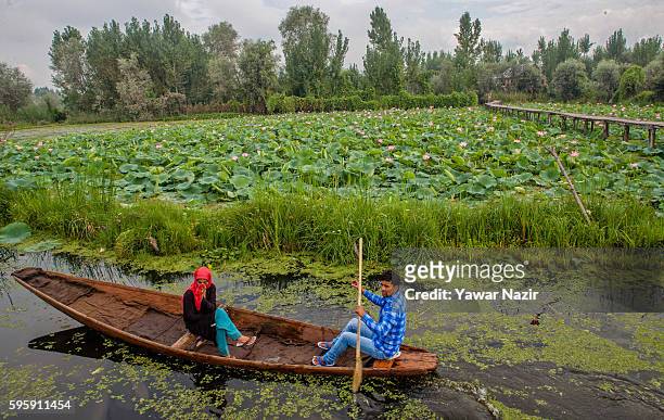 Kashmiri Muslim man ferrying a Muslim woman rows a boat next to the floating lotus garden in Dal lake on August 26, 2016 in Srinagar, the summer...