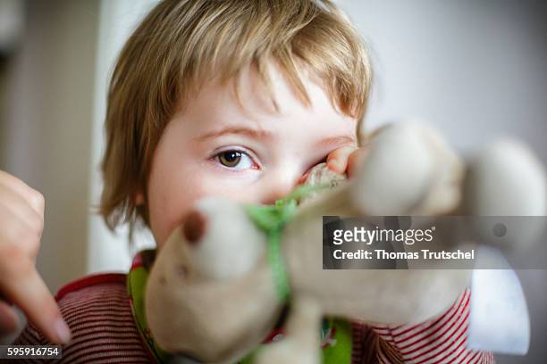 Berlin, Germany A toddler hides his face behind a stuffed animal on August 12, 2016 in Berlin, Germany.