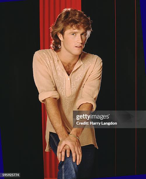 Singer Andy Gibb poses for a portrait in 1981 in Los Angeles, California.