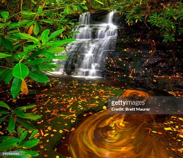 swirling leaves beneath an appalachian waterfall - blacksburg stock pictures, royalty-free photos & images