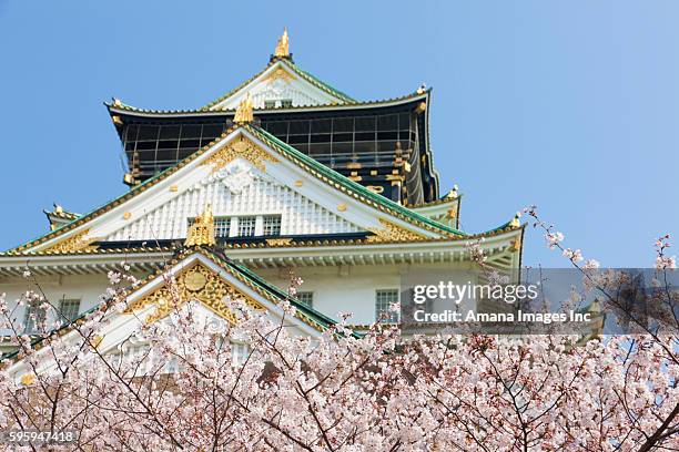 osaka castle and cherry blossom - stadt osaka stock-fotos und bilder