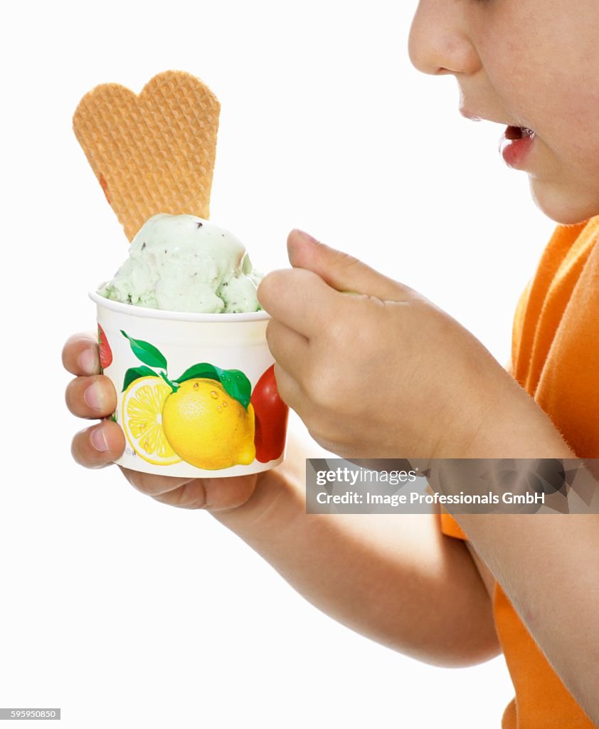 Small boy eating peppermint ice cream from a small tub