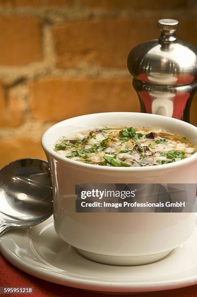 bowl of french onion soup with fontina cheese - fontina stock pictures, royalty-free photos & images