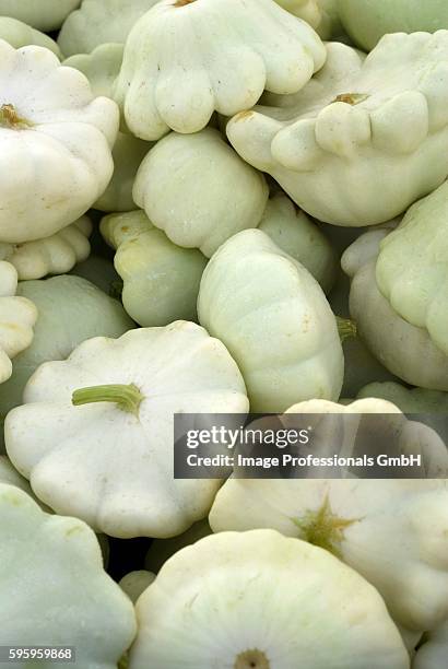 many white pattypan squash - pattypan squash imagens e fotografias de stock