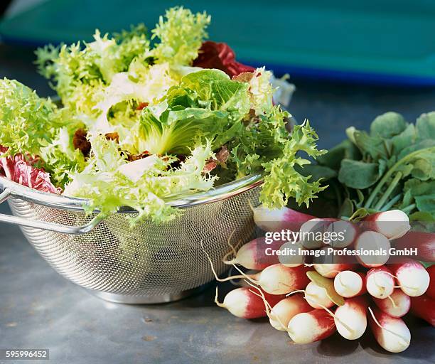 mixed salad leaves in colander and a bunch of radishes - curly endive stock pictures, royalty-free photos & images