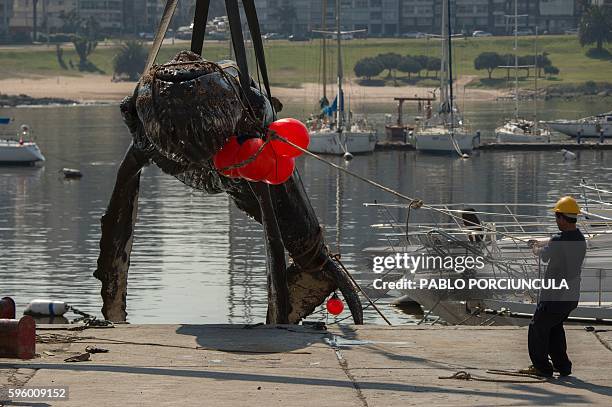 Whale is removed from the water in Montevideo on August 26, 2016. The whale died after being in the throes of death for three days in Buceo port. /...