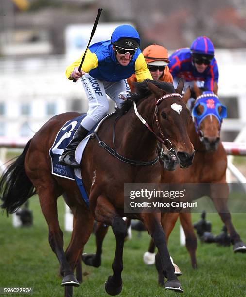 Brad Rawiller riding Black Heart Bart wins race 7, New Zealand Bloodstock Memsie Stakes during Melbourne Racing at Caulfield Racecourse on August 27,...
