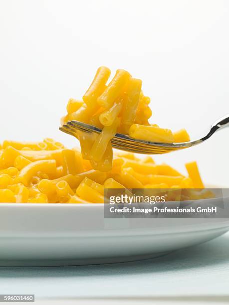 a forkful of macaroni and cheese - mac and cheese stock pictures, royalty-free photos & images