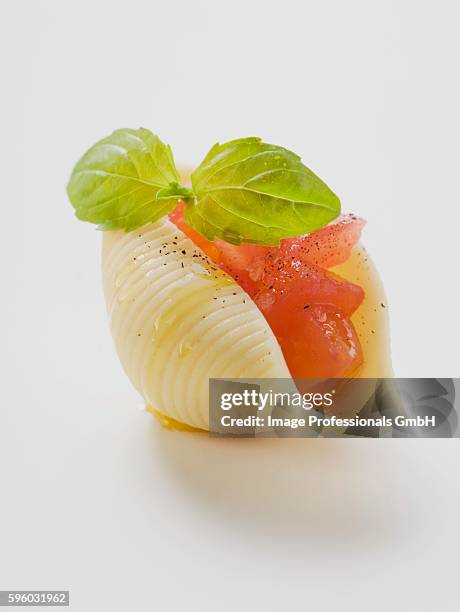Shell Single Pasta 103 Single Pasta Shell Stock Photos, High-Res Pictures, and Images ...