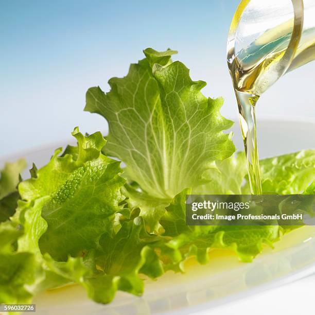 oil running onto lettuce leaves - curly endive stock pictures, royalty-free photos & images