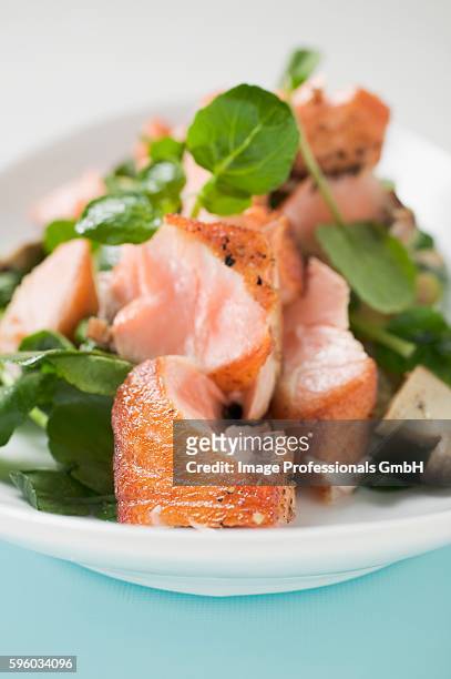 salad leaves with fried salmon and mushrooms (detail) - watercress stock pictures, royalty-free photos & images