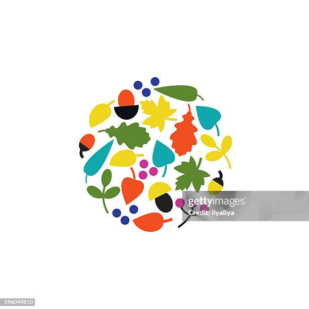 autumn collection vector illustration - maple tree isolated stock illustrations