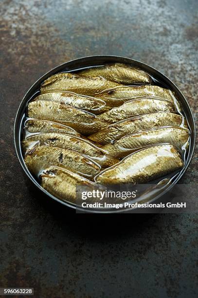 smoked sprats in an open can - sprat fish stock pictures, royalty-free photos & images