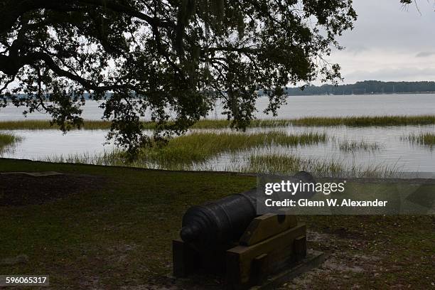 cloudy afternoon in the low country - low country marsh stock pictures, royalty-free photos & images