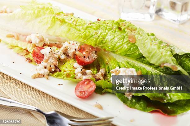 romain lettuce salad with feta cheese, tomato and vinaigrette dressing - vinaigrette dressing ストックフォトと画像